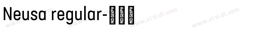 Neusa regular字体转换